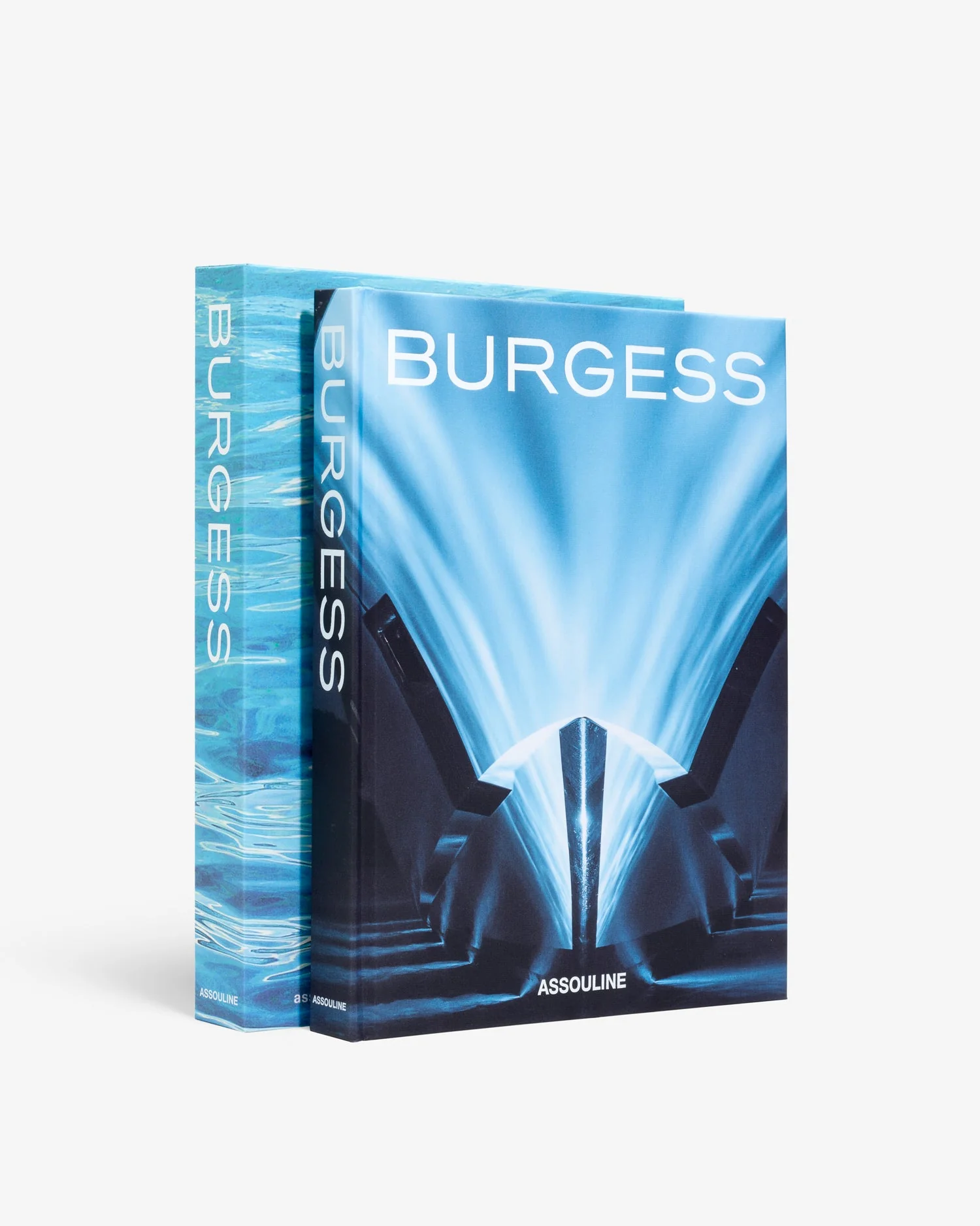 Burgess - Image 3
