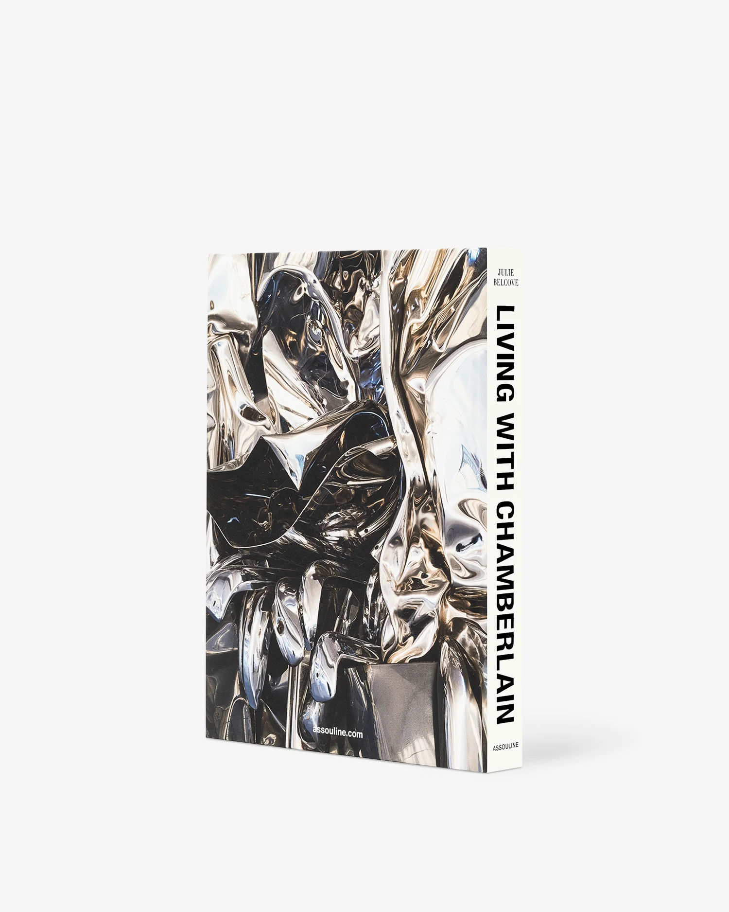 Living with Chamberlain, Art in Residence - Image 2
