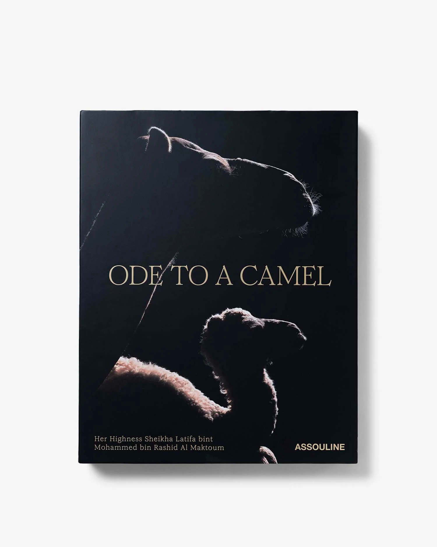 Ode to a Camel - Image 5
