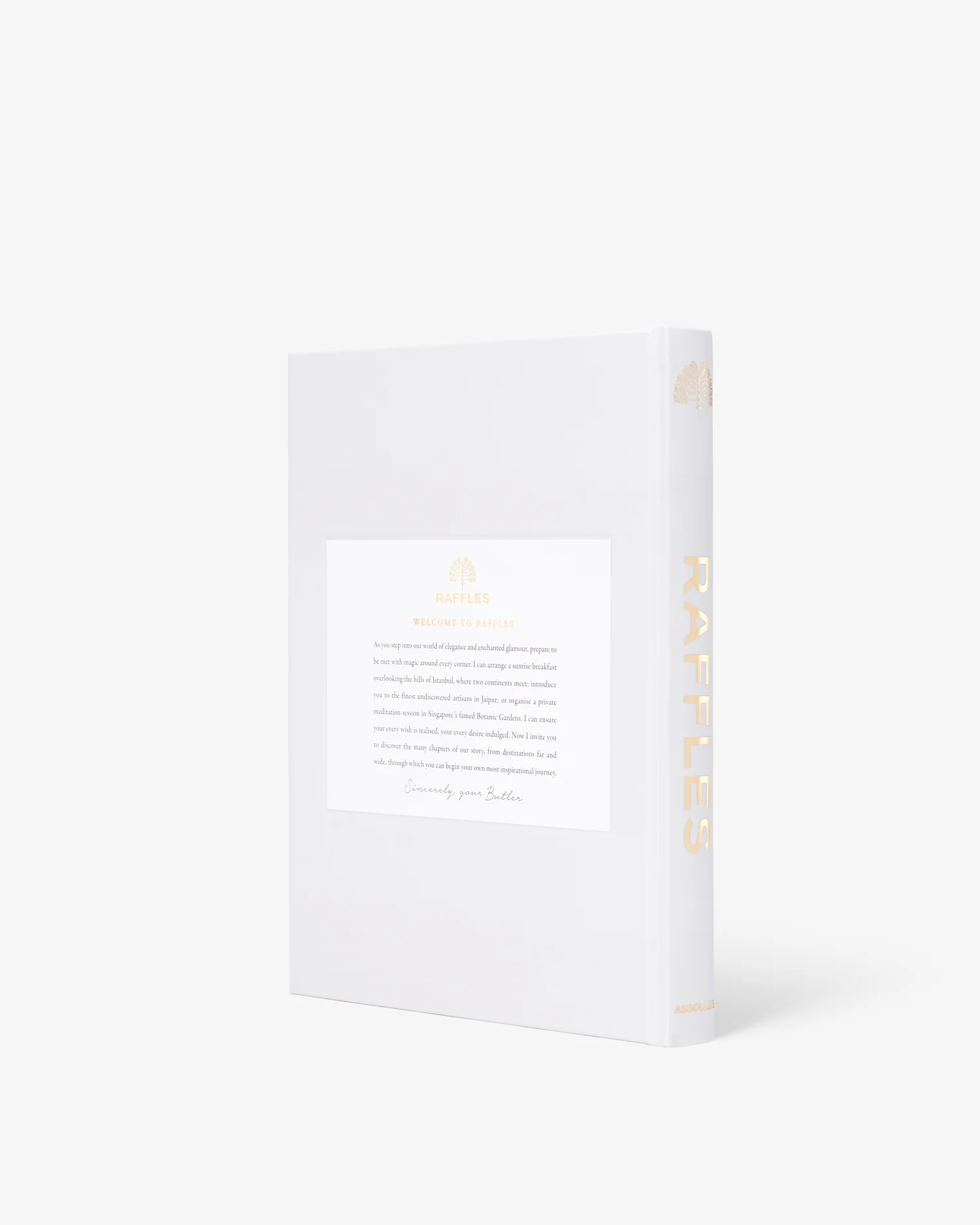 Raffles - Image 2