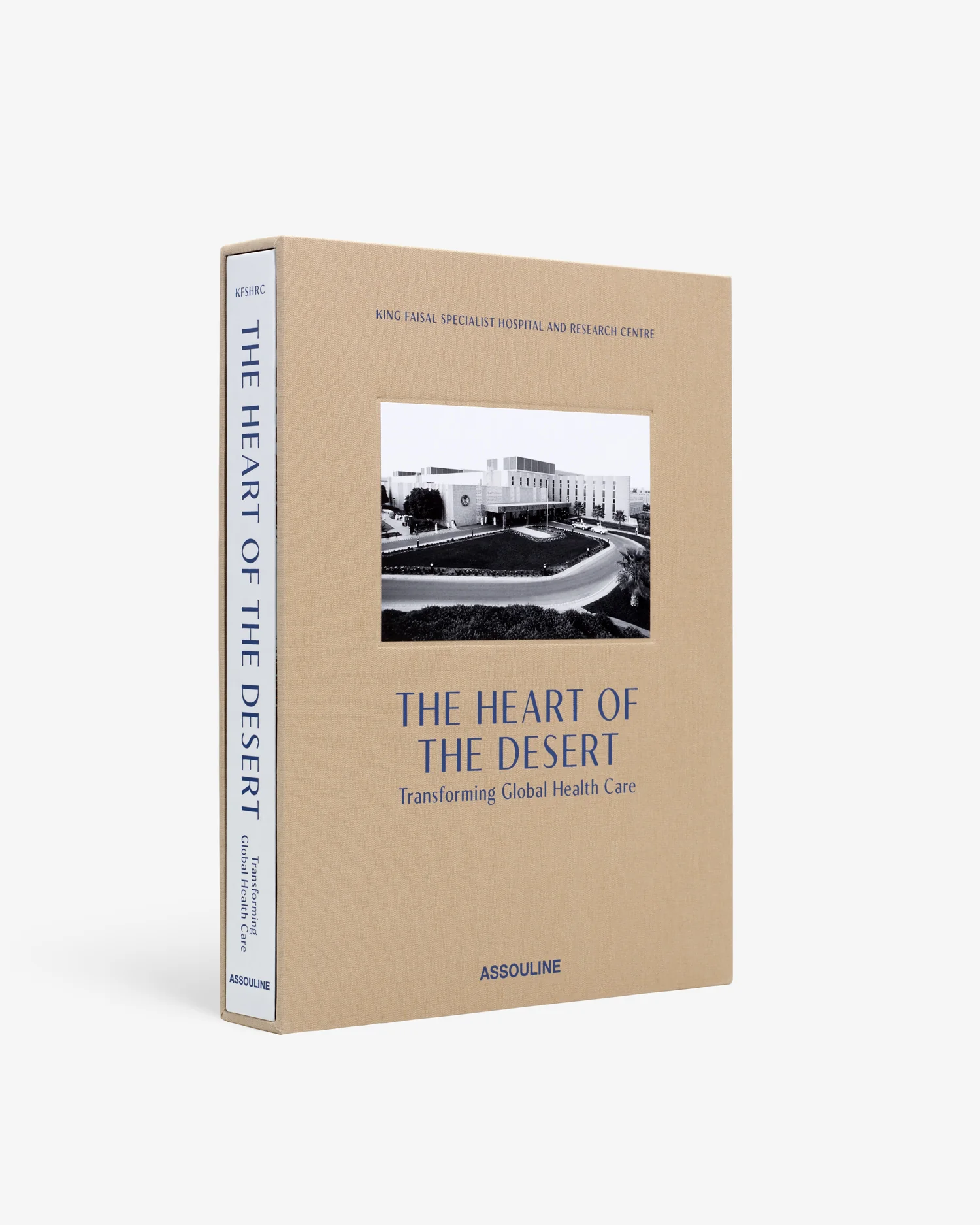 The Heart of the Desert: Transforming Global Healthcare - Image 2